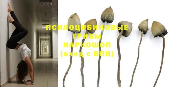 ешки Армянск